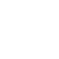 Inspur Logo